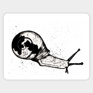 Moon Snail Sticker